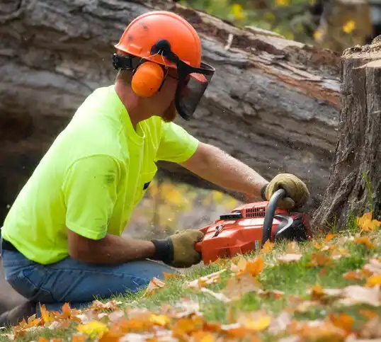 tree services Fowler